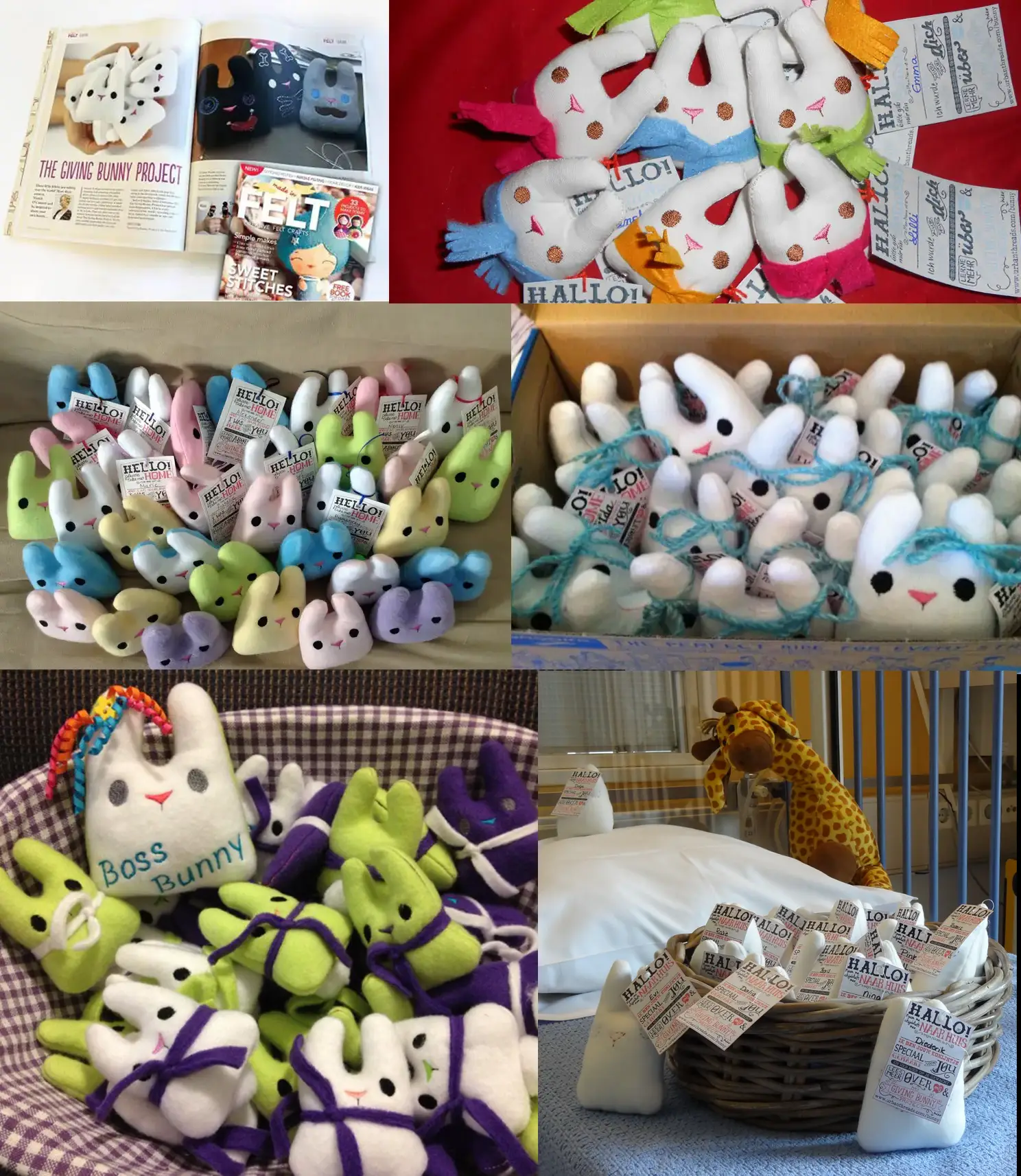 Giving Bunny Campaign 3